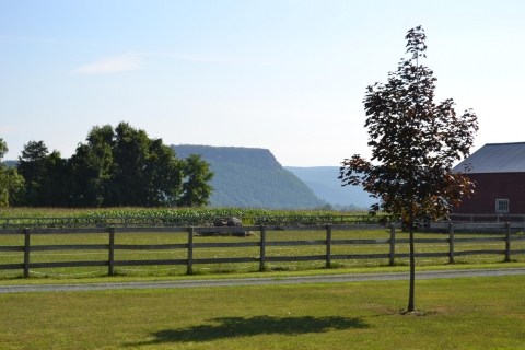 Vroman's Nose